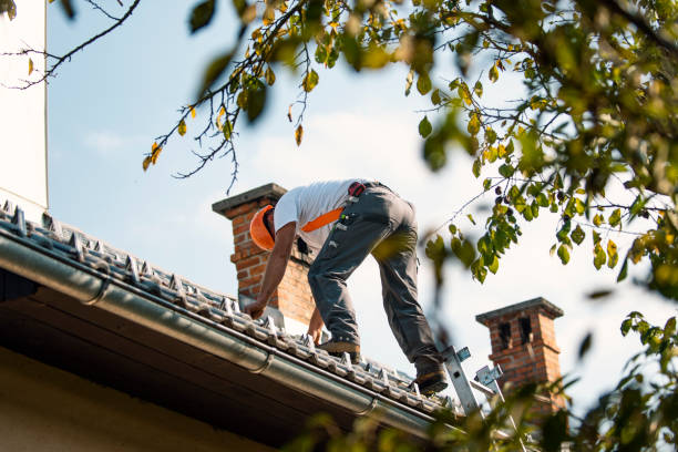 Best Emergency Roof Repair Services  in Aledo, IL