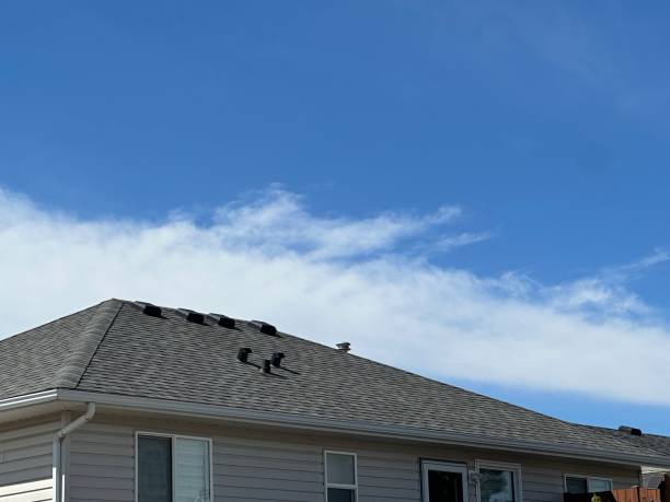 Best Gutter Installation and Repair  in Aledo, IL